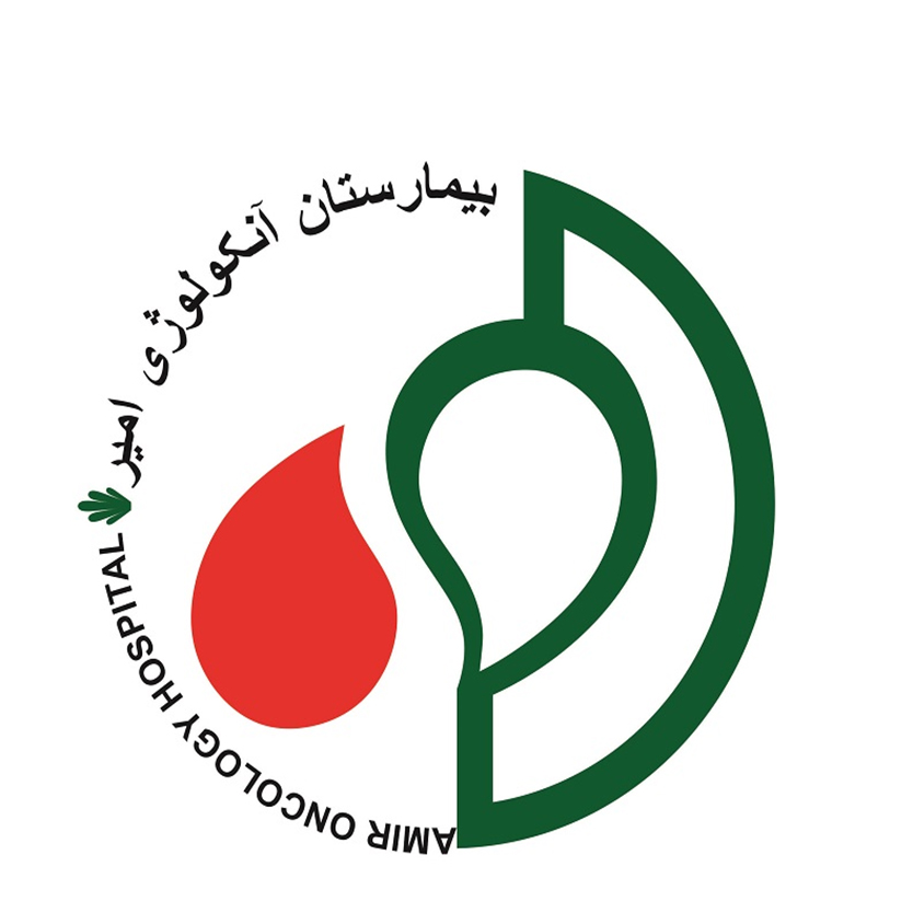 امیر
